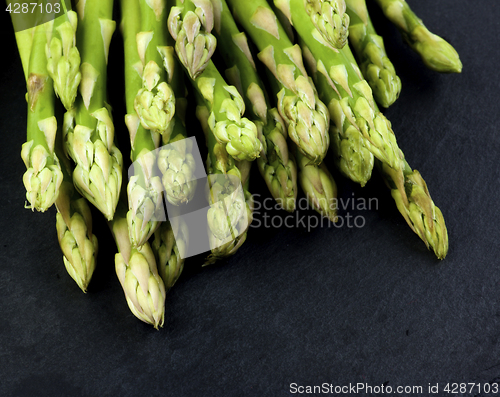 Image of Fresh Asparagus Sprouts