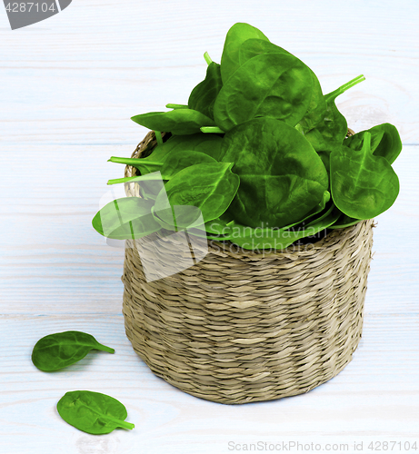 Image of Raw Spinach Leafs