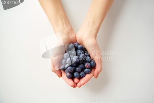 Image of close up of young woman hands holding blueberries
