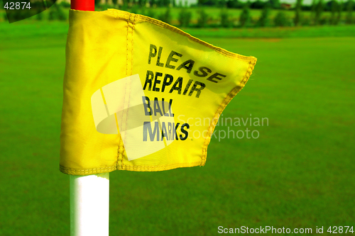 Image of Repair ball marks