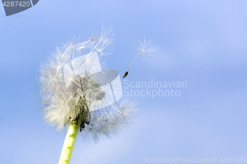 Image of 