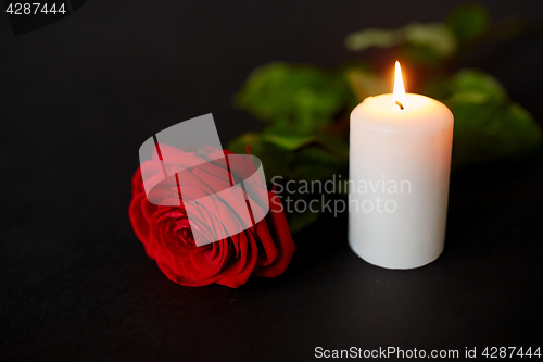 Image of red rose and burning candle over black background