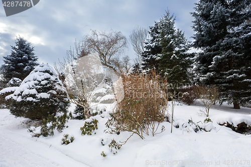 Image of beautiful winter garden covered by snow