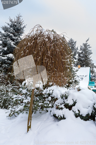 Image of beautiful winter garden covered by snow