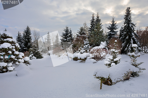 Image of beautiful winter garden covered by snow