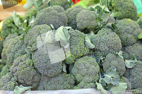 Image of Broccoli