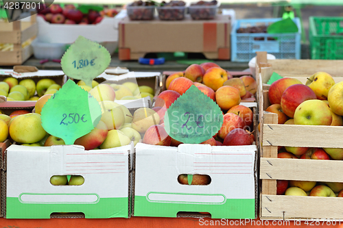 Image of Fruits in Crates