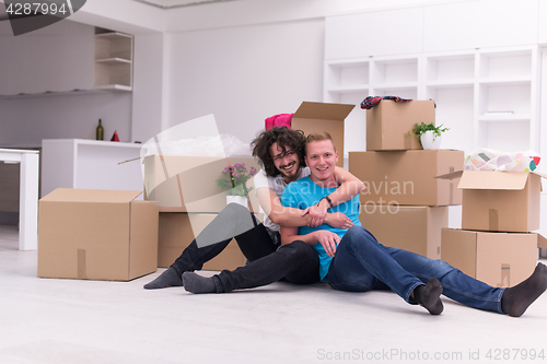 Image of young  gay couple moving  in new house