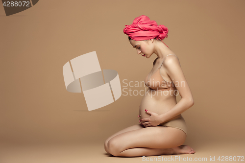 Image of Young beautiful pregnant woman sitting on brown background