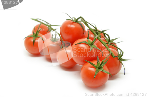 Image of Red cherry tomato