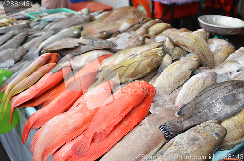 Image of Fresh fishes just caught from sea are being sold at a market