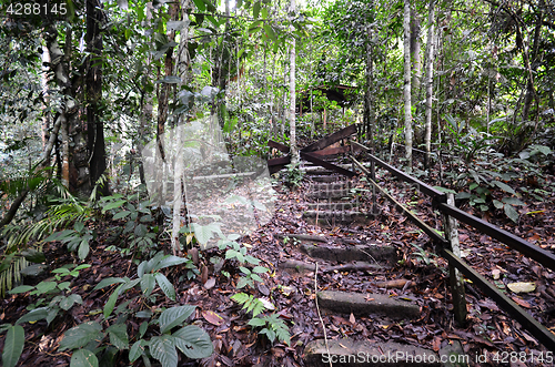 Image of Wooden stairs up to mountain Kinabalu