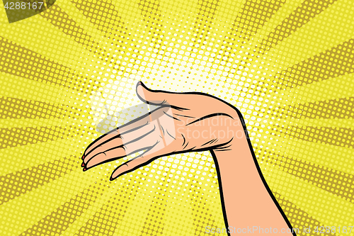 Image of Women open palm hand hold gesture