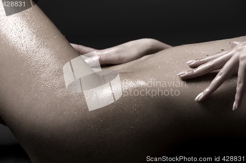 Image of bodyscape