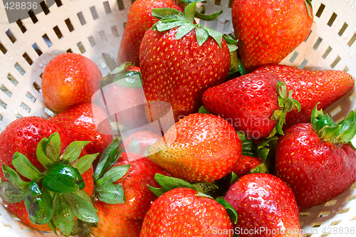 Image of Strawberry Wash