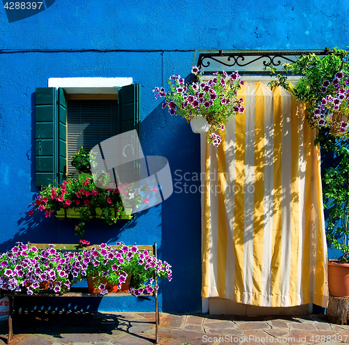 Image of Blue house on Burano