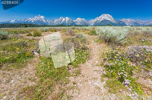 Image of Grand Teton National Park Mountain Range in Wyoming, USA.