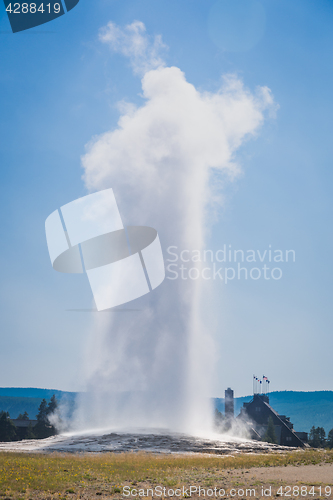 Image of Old Faithful Geyser Erupting at Yellowstone National Park.