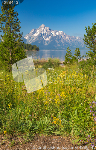 Image of Grand Teton National Park Mountain Range in Wyoming, USA.