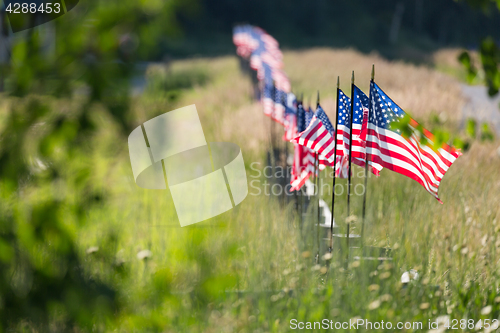 Image of Row of American Flags on Fence