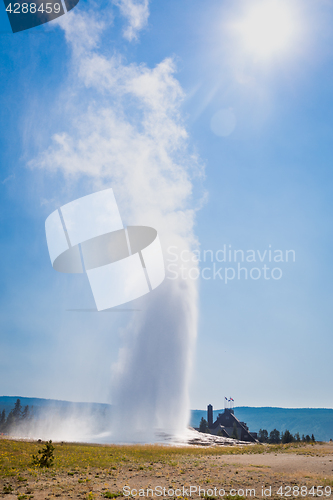 Image of Old Faithful Geyser Erupting at Yellowstone National Park.