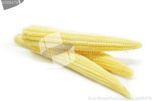 Image of Baby corn cobs 