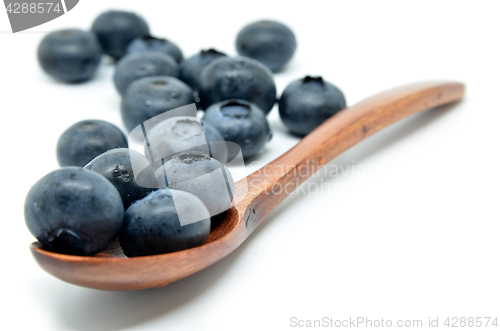 Image of Tasty blueberries isolated