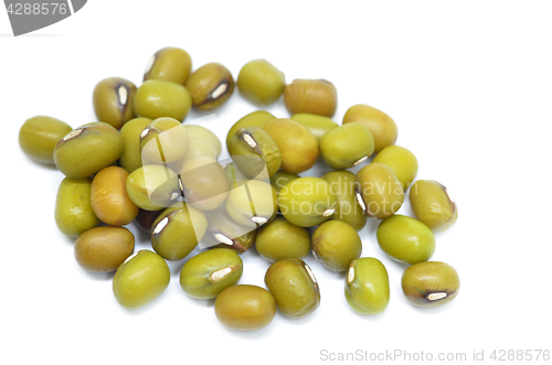 Image of Pile of raw green mung beans