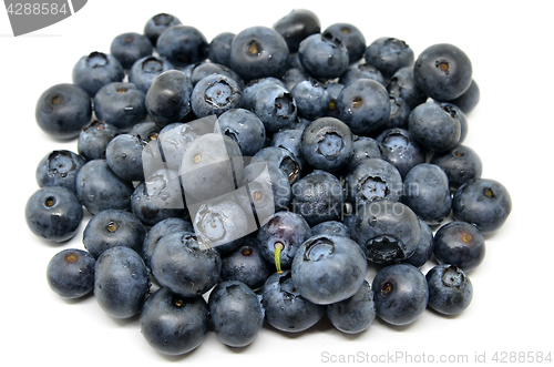 Image of Tasty blueberries isolated