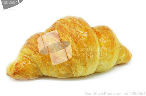 Image of Fresh Croissant isolated on white background