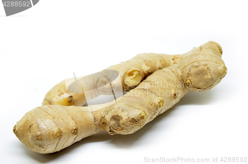 Image of Fresh ginger isolated on white background.