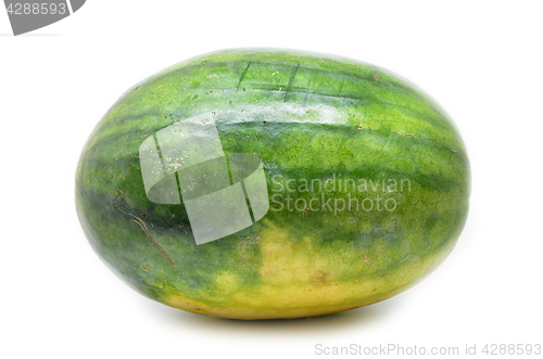 Image of Watermelon isolated on white background