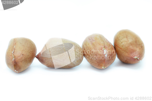 Image of Processed peanuts isolated