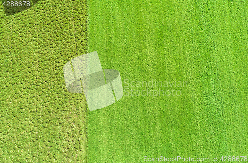 Image of Cultivated and uncultivated land