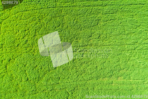 Image of Farmers field from above