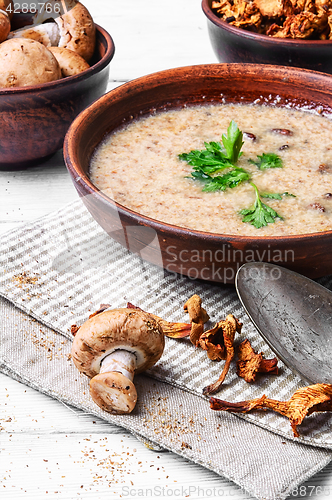 Image of puree soup with mushrooms