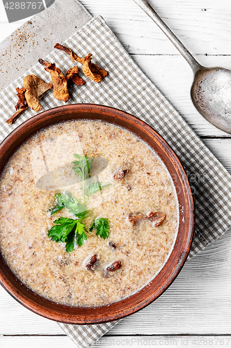 Image of puree soup with mushrooms