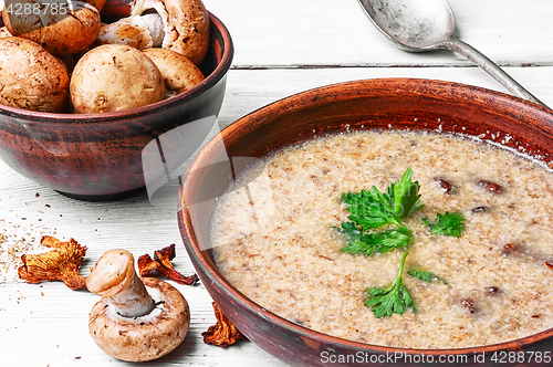 Image of Mushroom creamy Soup