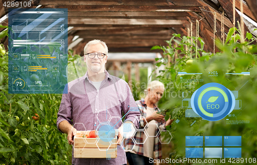 Image of old couple with box of tomatoes at farm greenhouse