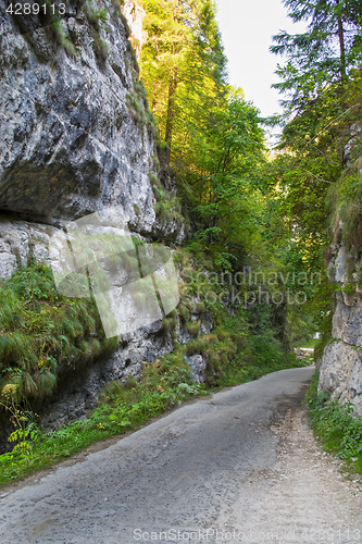 Image of Mountain road  between two rocks