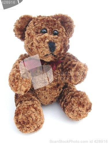 Image of cute brown teddy toy
