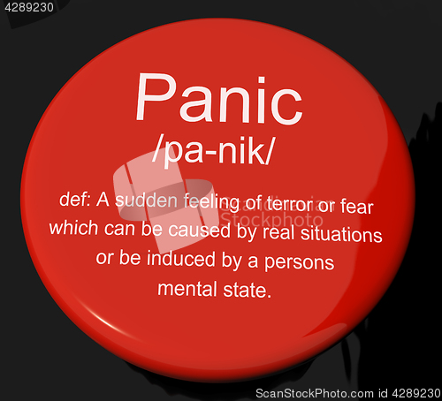 Image of Panic Definition Button Showing Trauma Stress And Hysteria