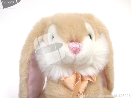 Image of cute bunny rabbit toy