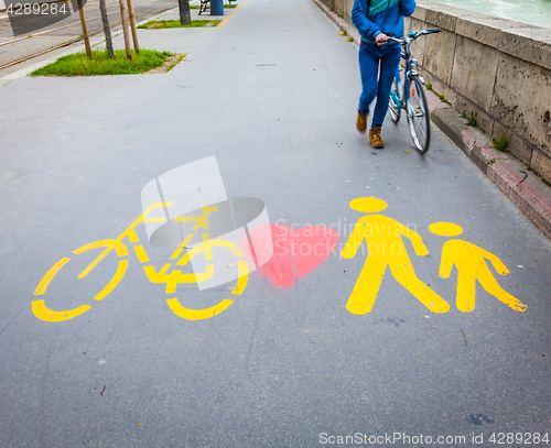 Image of Bicycle signs painted on asphalt