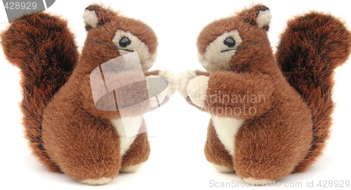 Image of red squirrels