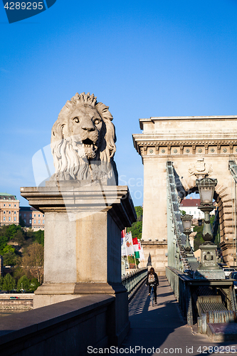 Image of BUDAPEST, HUNGARY - 2017 MAY 19th: lion statue at the beginning 