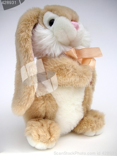 Image of cute bunny rabbit toy