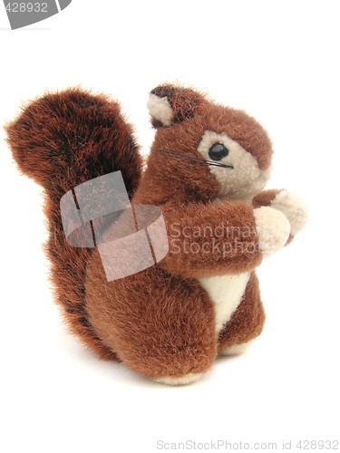 Image of red squirrel