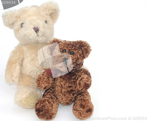 Image of two cute brown teddy  bear toys