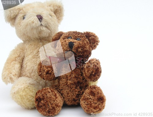 Image of two cute brown teddy  bear toys